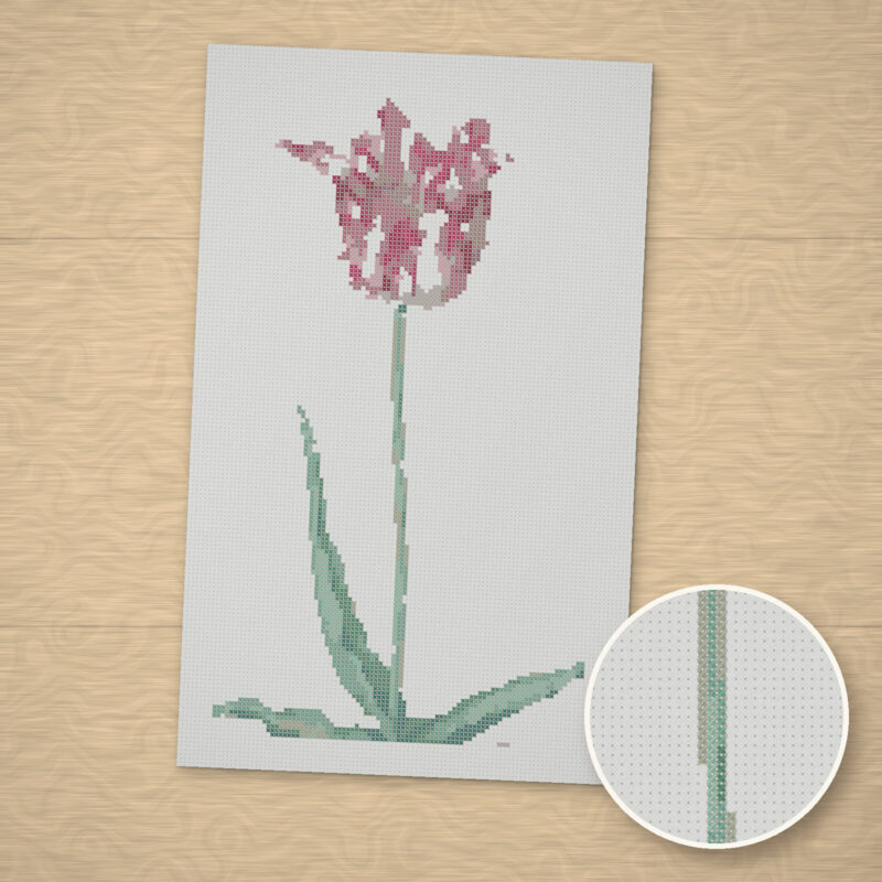 Tulip Study (Gemarmerde van Jasper) Cross-Stitch Pattern
